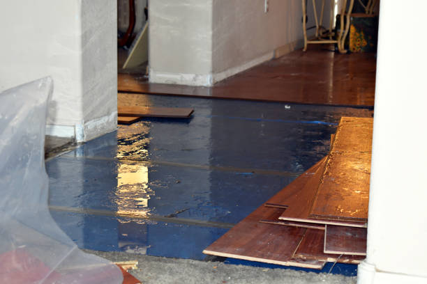 Professional Basement Flood Cleanup technician working in Chokoloskee, FL